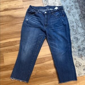 Time and Tru High Rise Dark Blue Jeans